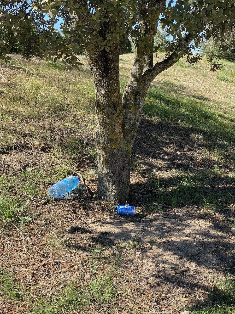 CascaRubia's tweet photo. Tercer día paseando por el nuevo basurero de #Majadahonda. Supongo que @vbaznar @MajadahondaAyto y @alvarezustarroz darán la orden de limpieza después de su puente del #12Octubre. No tenéis vergüenza. #ppinutil #majadahondalimpia https://t.co/BVuSYlh4s7
