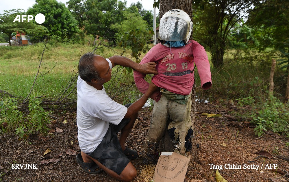 Afp News Agency A Twitter Scarecrows Have Been Popping In Cambodian Villages That Have Been Hard Hit By Infectious Diseases But Now They Re Being Used To Prevent The Spread Of Coronavirus T Co Ms1lo2ixmh