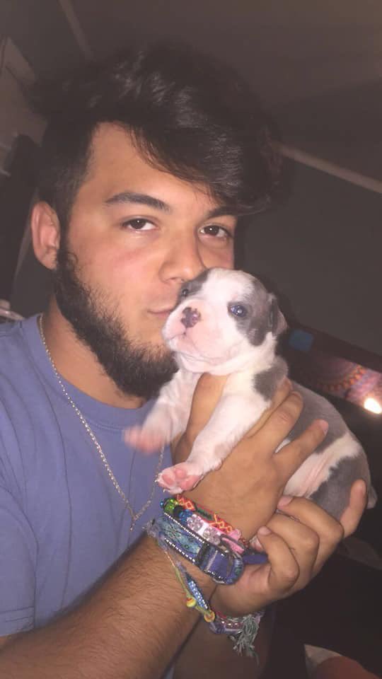 BadLuckBlade's tweet image. How it started           how it’s going