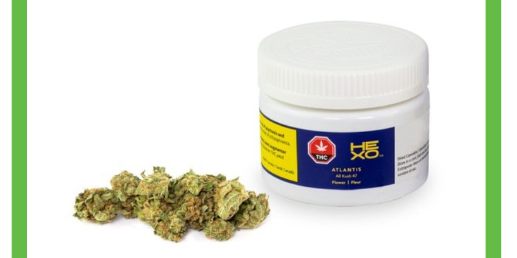 NCannab's tweet photo. Our #WeeklyTrim is @HexoCanada #Atlantis. An #AK47 sativa-dominant strain with #caryophyllene &amp;  #myrcene in the #terpene profile. Sweet &amp; Sour. Cerebral &amp; Creative.

#NCannabis #JaneSt is open until 9pm tonight. Closed Monday for Thanksgiving. Stop by and say hi before dinner. https://t.co/HR6WKPp1Yw