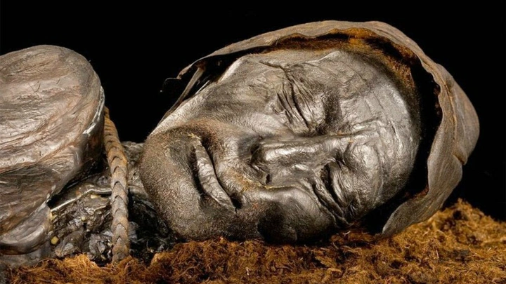 5. Tollund Man (4th c. BCE)Also a bog body from Jutland! The face that graced many mummy books! The rope he was hung with is still around his neck, although his death may have been ritualistic due to the fetal position of his body. Preserved down to his day-old beard stubble.