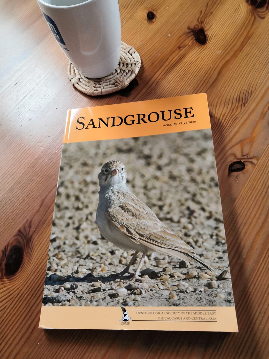 Sal Cooke OBE tweet media