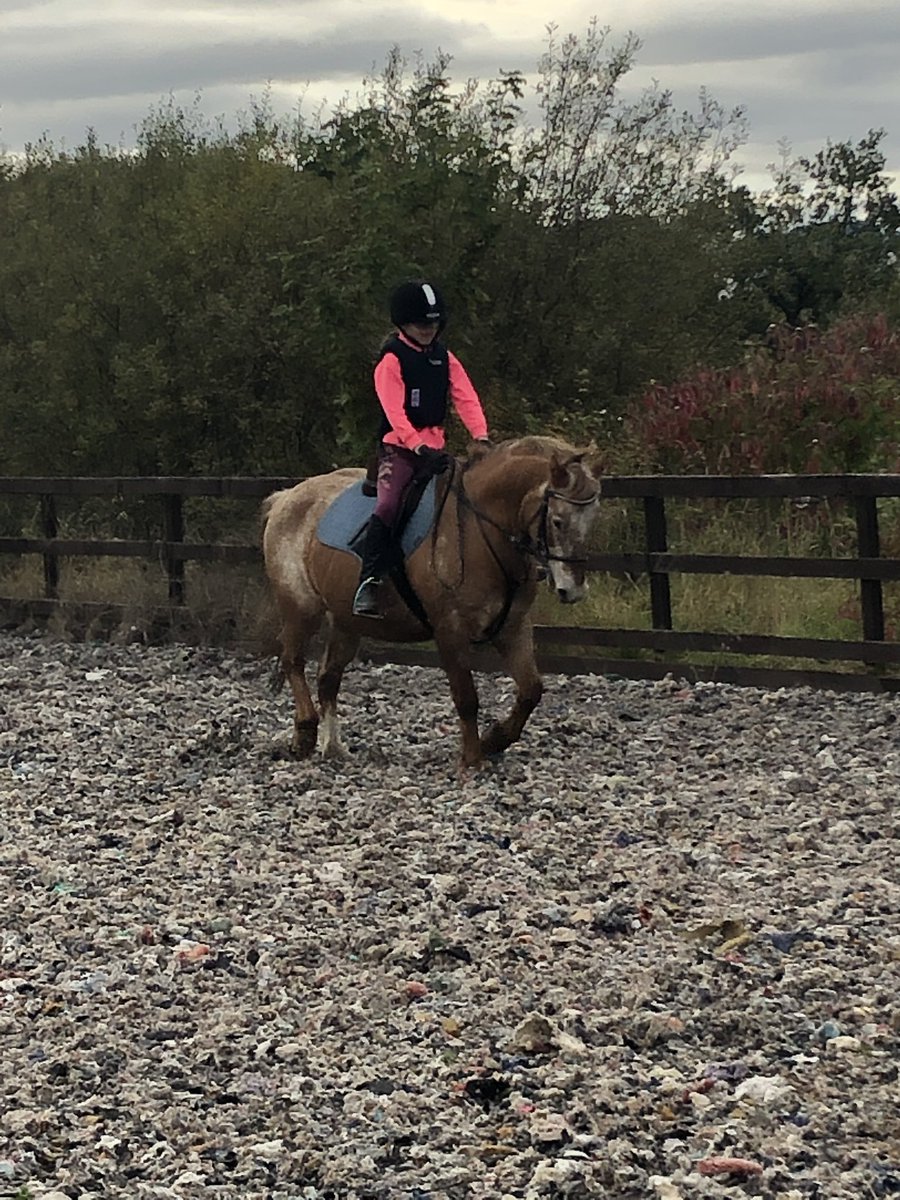 PaulineMacM's tweet photo. Heβs such a wee handsome π΄ we are so lucky with this #pony #mrfudge #ponylife https://t.co/0TUvCtsxfH