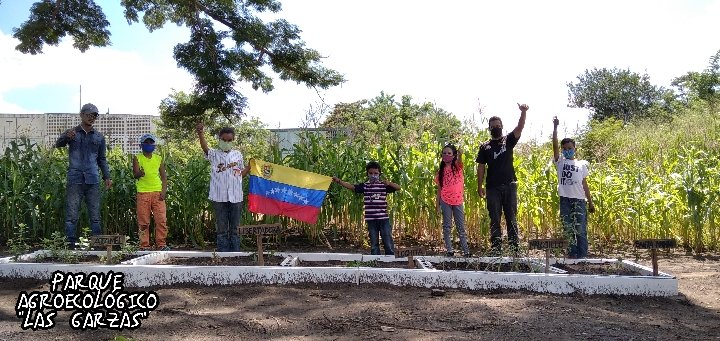 parque_garzas's tweet photo. #11Oct Este Domingo junto los niños y niñas de #Zamora sembramos #PlantasMedicinales. Eseñandoles a los mas pequeños nuestra cultura ancestral y como estas plantas nos mantienen sanos y libre de enfermedades.
#Malojillo #Jengibre #Atamel #Lochita #Sabila #SantaMaria https://t.co/duWwrAMQDi
