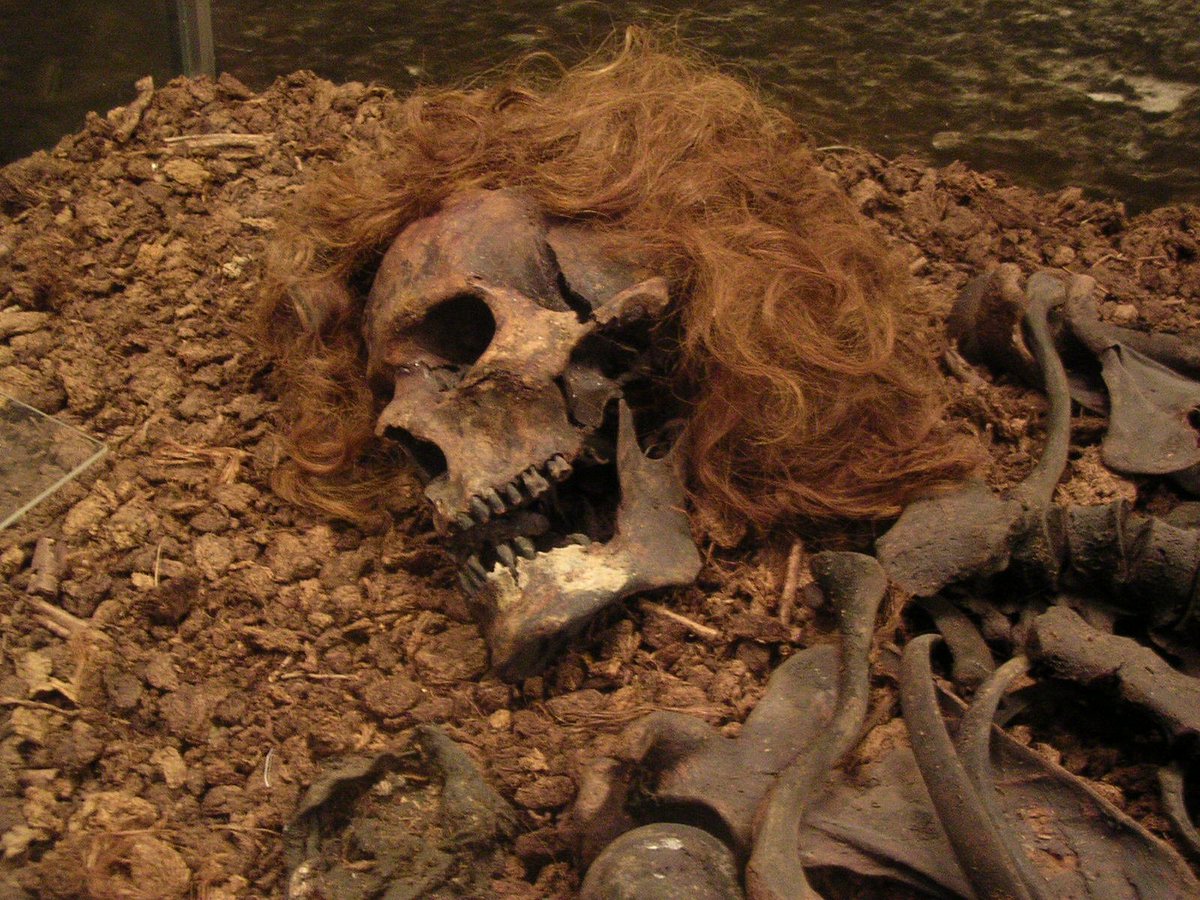 3. Bocksten Man (~14th c. CE)A bog body probably better known for the incredible state of his medieval clothing (and his HAIR!!) rather than his actual body. His full suit of clothing was preserved almost perfectly. Bocksten Man was more than likely murdered.