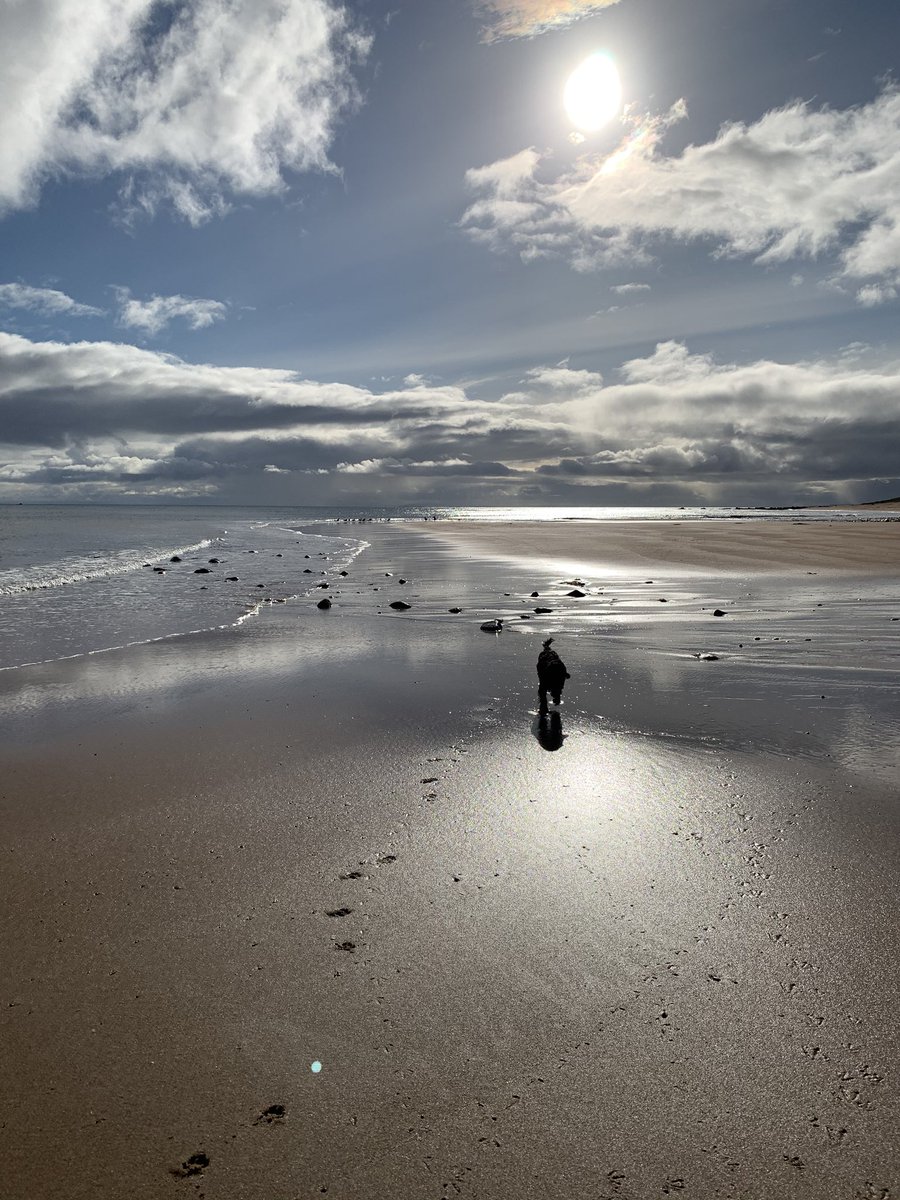 jonathanjevans's tweet photo. @suicideresearch Have almost identical pics from the other side of Scotland #embobeach #Crakaigbeach!! Whole of Scotland beautiful today it seems! https://t.co/osiL5OXTD6