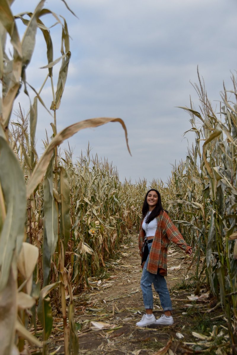 briannaspics's tweet photo. a thread of my pumpkin patch pictures https://t.co/xJCN3HtVS7