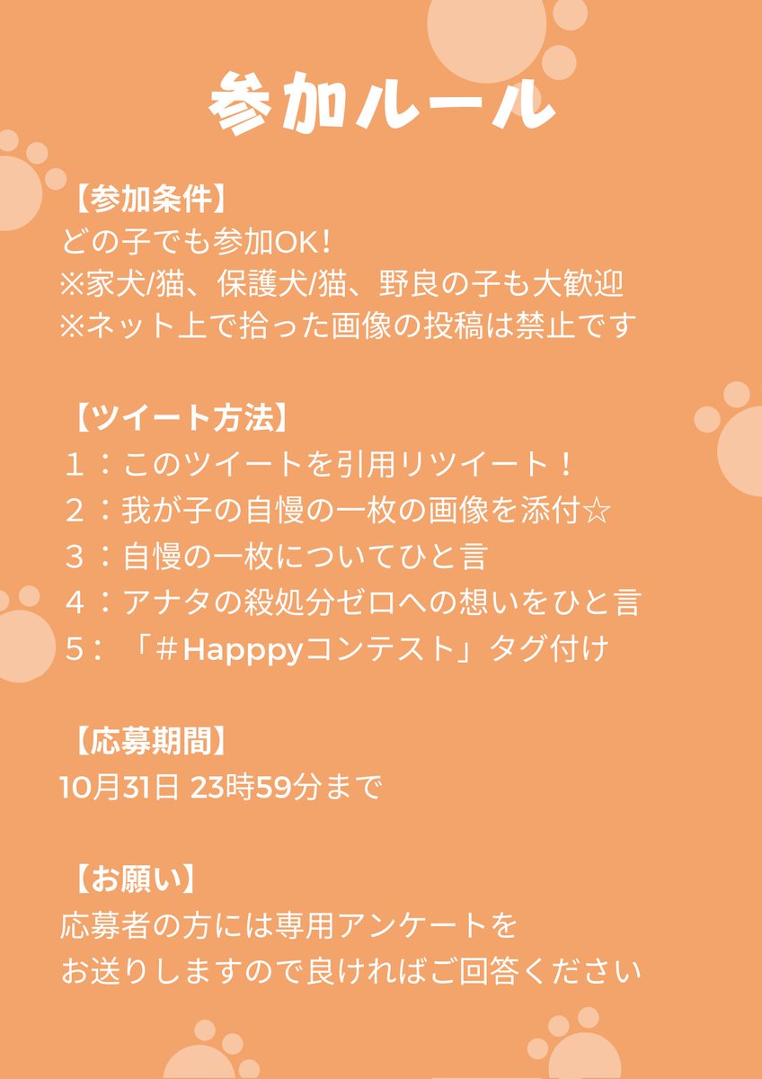Coinu_CEO's tweet photo. 【拡散希望】

🌈愛犬🐶愛猫🐱フォトコンテスト📸
本日スタート💛

応募人数×10円を #殺処分ゼロ を目指す
保護団体へ寄付します👍

これは世界一簡単な
殺処分ゼロへの協力です✨

応募方法は画像をチェック☑️
受賞特典も👀

犬猫を飼っていない方も
是非、拡散💞にご協力ださい

#Happpyコンテスト https://t.co/5Y7bmmIoym