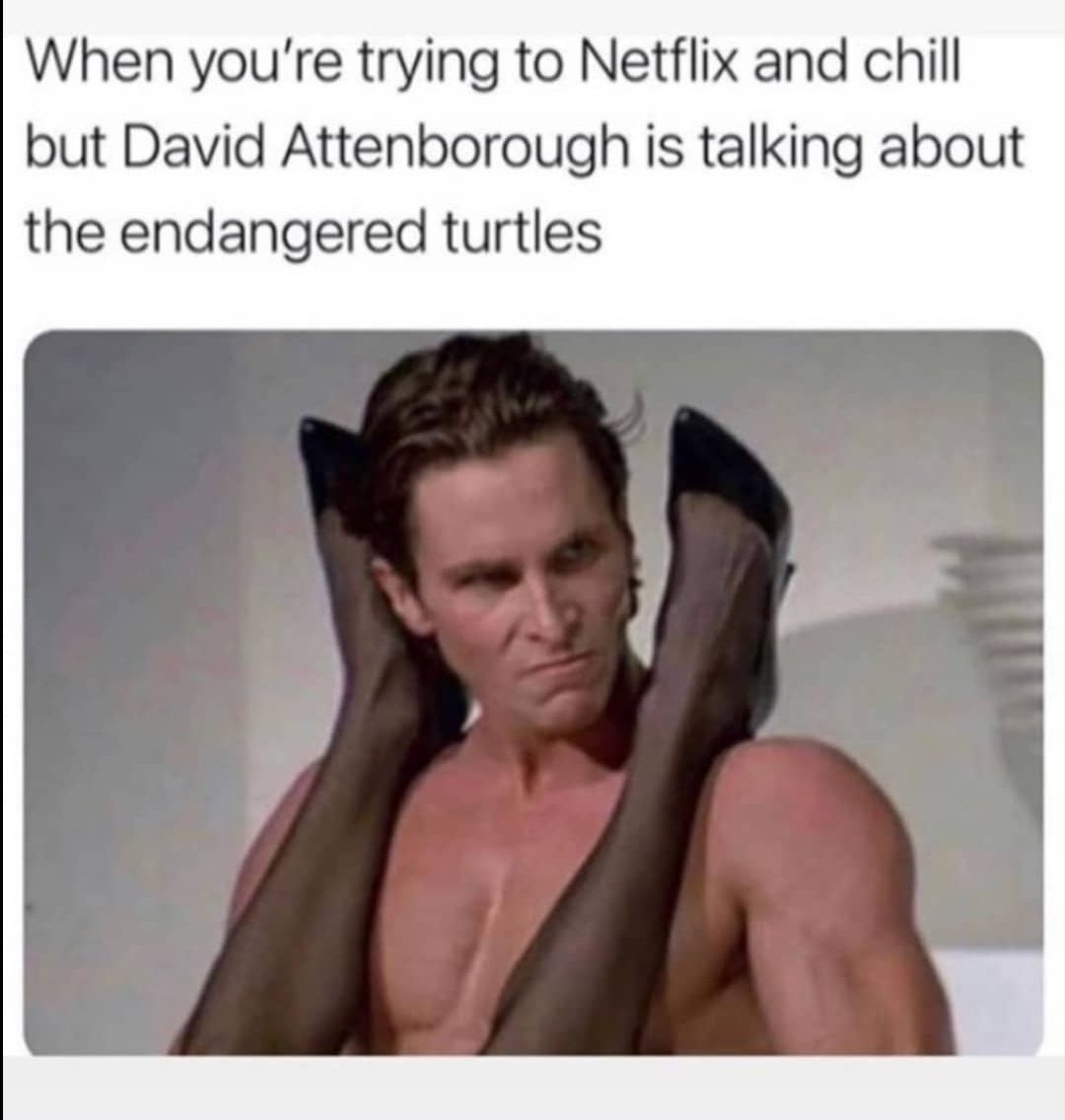 😂😂
#DavidAttenborough #Netflix #ourplanet