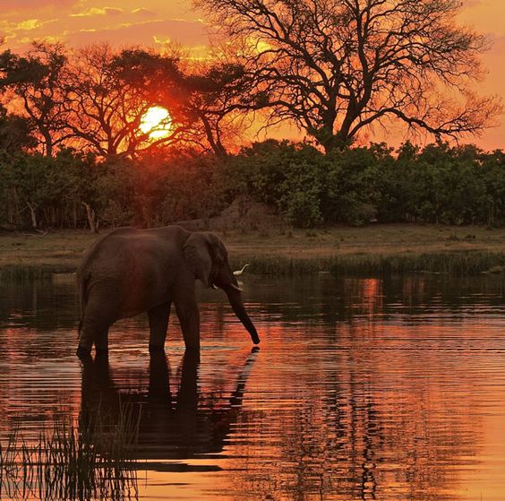 Alessandro ⚓️ NO DM tweet media