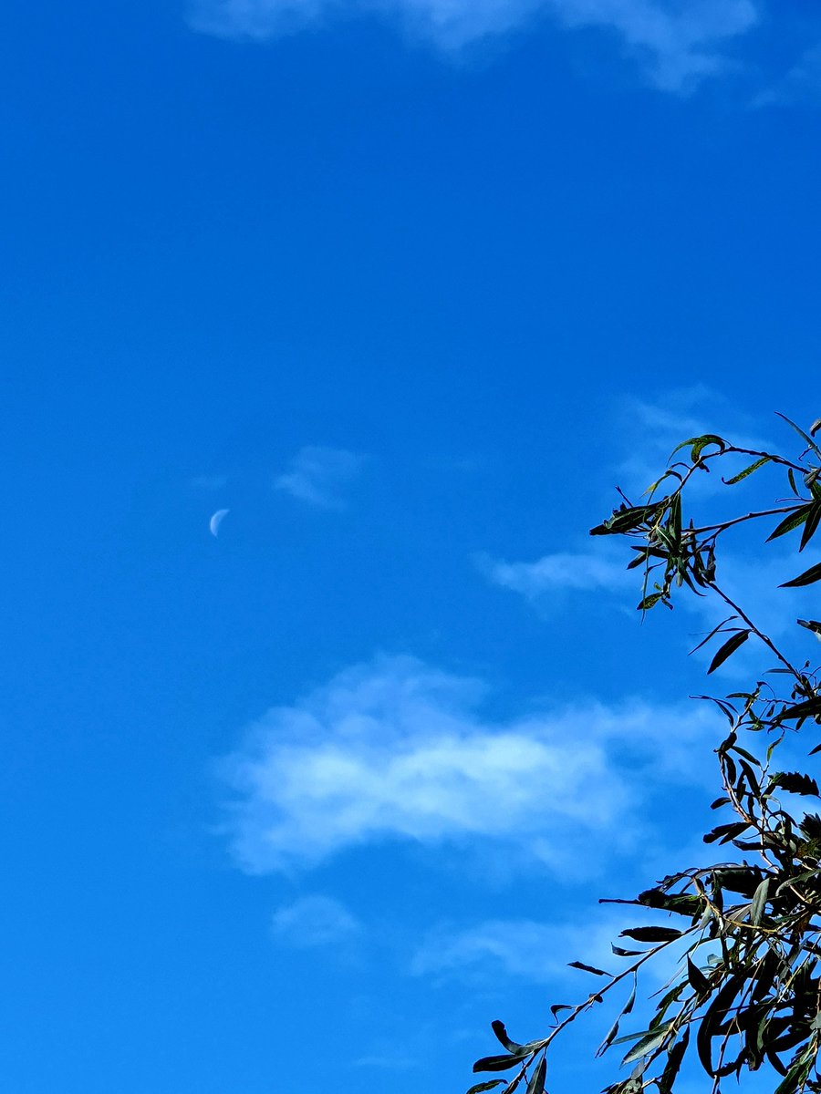 FlowCarer's tweet photo. The joy in simple, little things
#wuwei #newday #blessed #DoingNotDoing #coffee #dates #Moon #sofalogy #thankful #grateful
#OnlyLove 🙏 https://t.co/gjA8lWIZAW