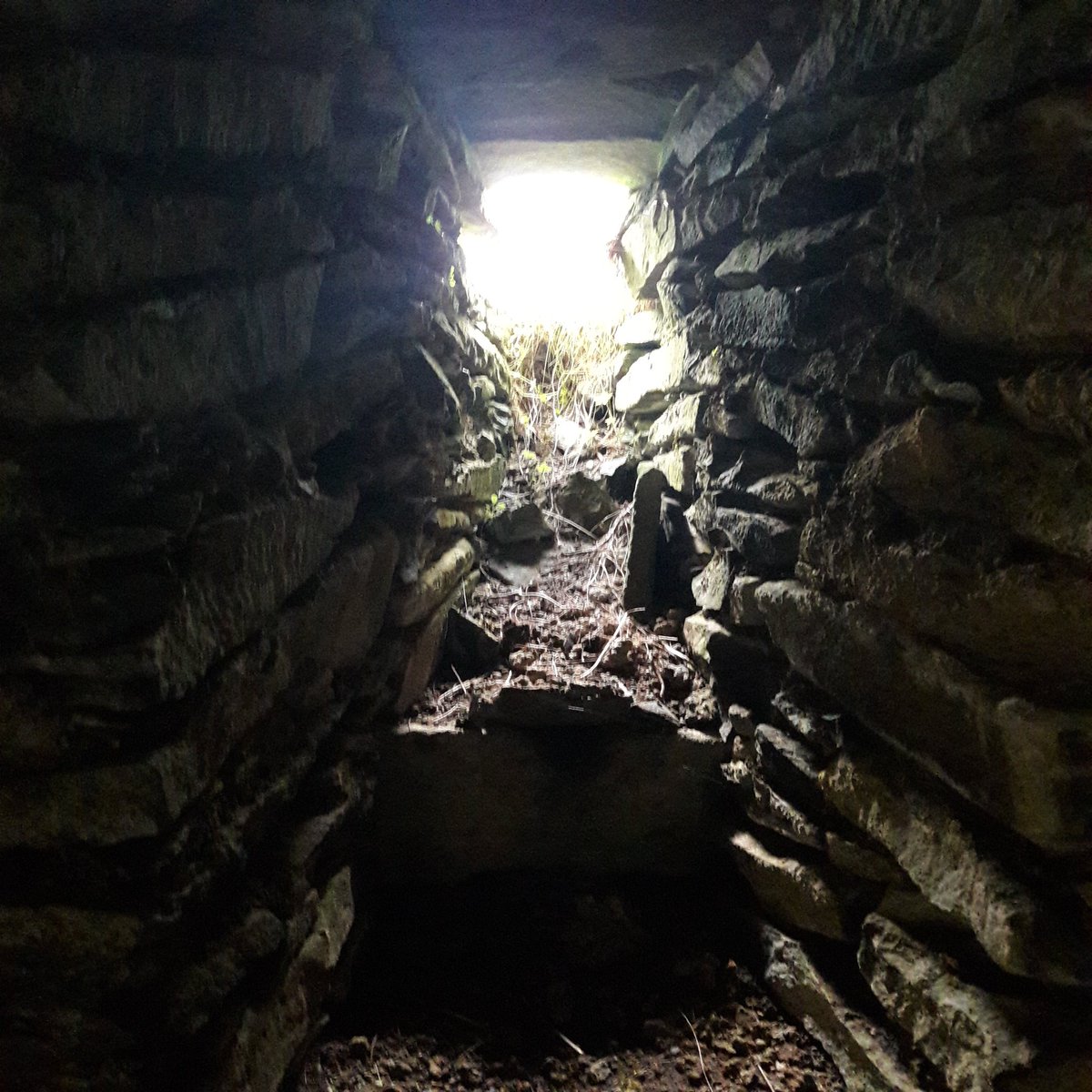 Margaret Fox (@mf6060) on Twitter photo Was this the dungeon where the Murrays of #ElibankCastle held Will Scott after a reiving raid? Scottish history at its most atmospheric. #TweedValley Was this the dungeon where the Murrays of #ElibankCastle held Will Scott after a reiving raid? Scottish history at its most atmospheric. #TweedValley