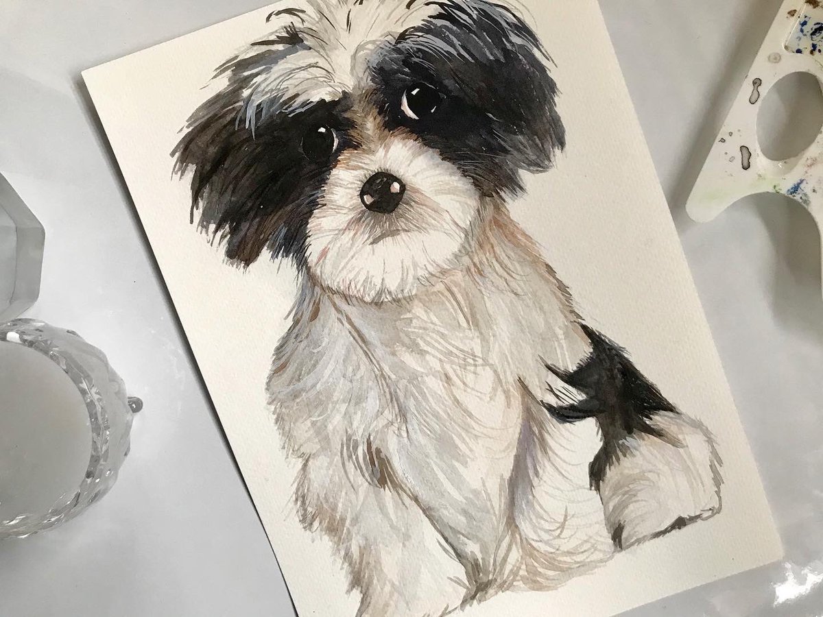 Surbhi Pandey tweet media