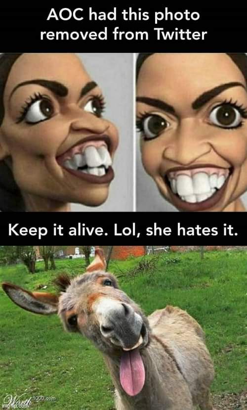 vms0072b's tweet photo. #DemocraticCriminalNetwork
#aoc https://t.co/VcKI19uVJu