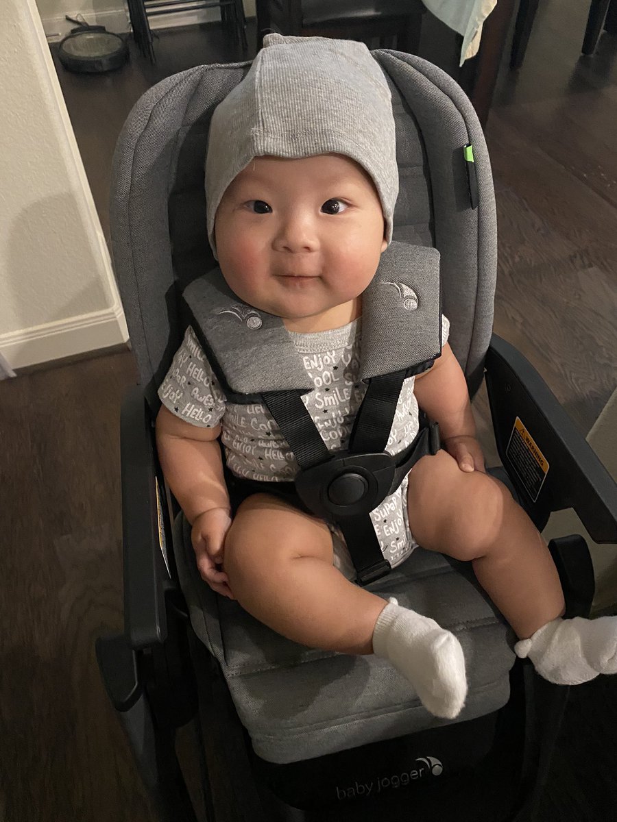 ThumblessCovert's tweet image. Sorry I haven’t been around on stream at all. Been working so much and any free time I have is spent with this guy. He’s my whole life.