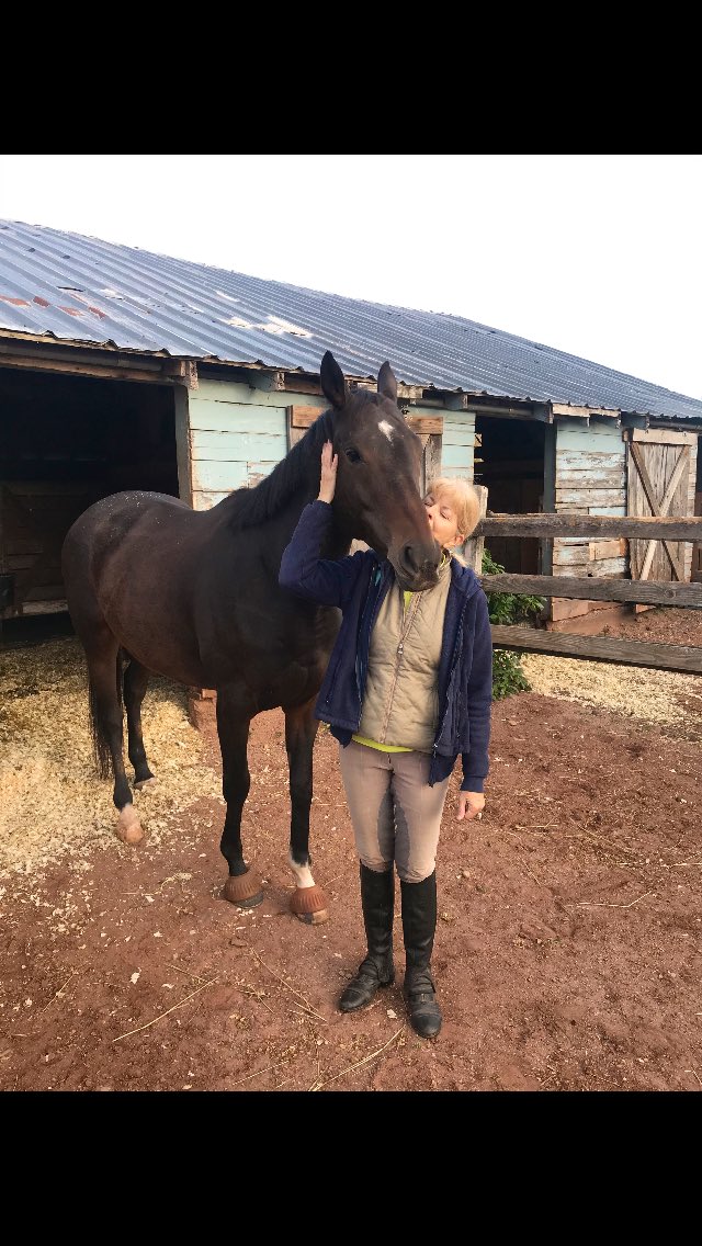 sebcourtney's tweet photo. Early morning work at the barn, then mints and hugs for all💚Firestar is always such a good girl and looks forward to her treats💚#OTTB #StarBaby #StarTrekking @Kitkat8298 @Kimbchr Love this big girl https://t.co/WLvWFPcqrO