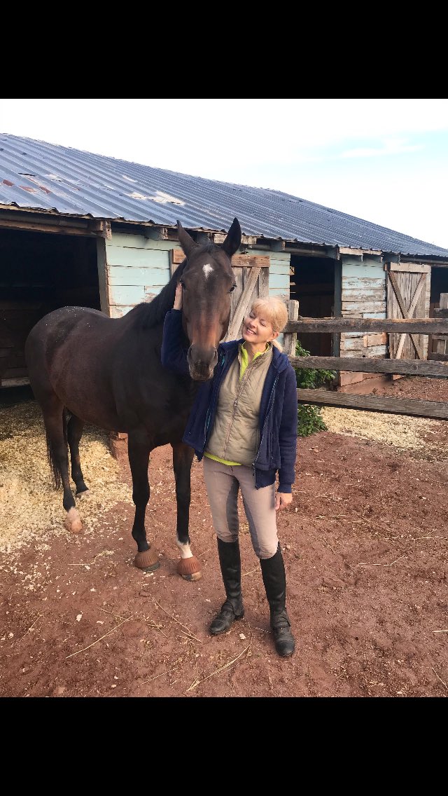 sebcourtney's tweet photo. Early morning work at the barn, then mints and hugs for all💚Firestar is always such a good girl and looks forward to her treats💚#OTTB #StarBaby #StarTrekking @Kitkat8298 @Kimbchr Love this big girl https://t.co/WLvWFPcqrO