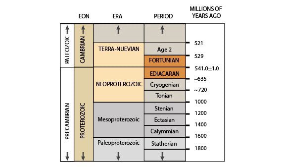 Whereas the base of the  #Ediacaran is determined by Carbon 13… “Although the Ediacaran Period does contain soft-bodied fossils, it is unusual in comparison to later periods because its beginning is not defined by a change in the fossil record.”