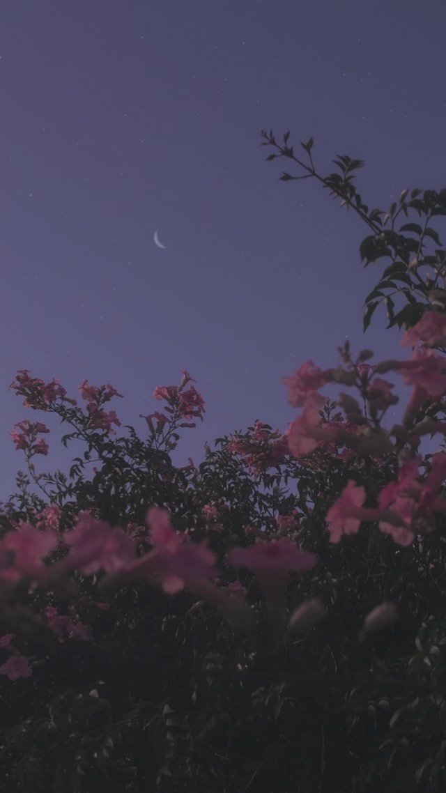 Etha_xn's tweet photo. 🌸
#DLNHOTGAL https://t.co/JUHc6yKjWn