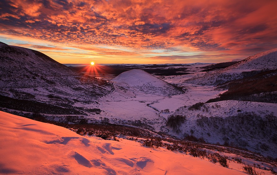 Sebastian tweet media