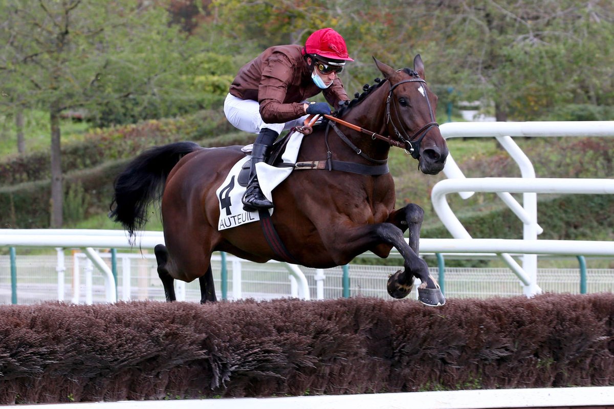 CharlyMilpied's tweet photo. #Obstacle #Auteuil
Première victoire pour @GaetanMasure à #Auteuil depuis le 1er mars dernier grâce à I'm Walkin' (#Martaline et #TangoLima) pour @EcurieNicolle.
Retour en confiance important à une semaine de partir favori du Grand Steeple-Chase de Paris avec Bipolaire. #GSCP https://t.co/kmVCVozB7m
