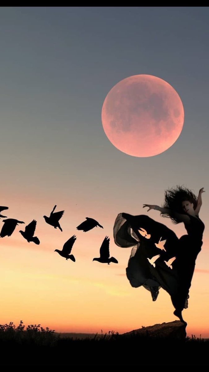 " من أشجع القرارات في حياتك . . 

أن تتخلّى نهائياً عن كلّ ما يؤذي روحك وقلبك "