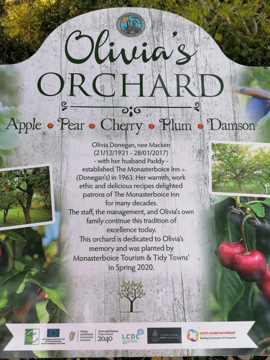 New sign at the community orchard opposite <a href="/MboiceInn/">Monasterboice Inn</a>. Delighted to have secured funding from @LouthLeaderPart #TidyTowns #Monasterboice #Louth #BoyneValley #biodiversity #Community #volunteers #IrelandsAncientEast #NativeTrees #pollinators