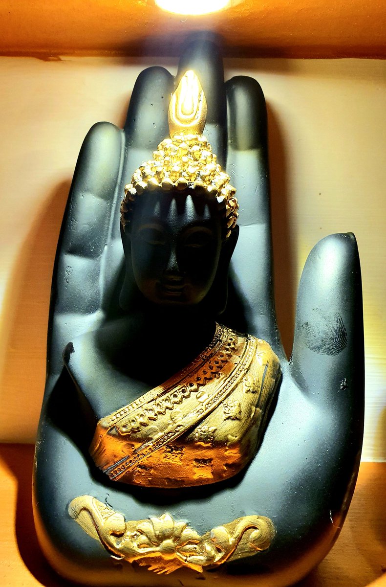 rejitweets's tweet photo. #BuddhaPalm craft at home https://t.co/jqjOGxuvFj