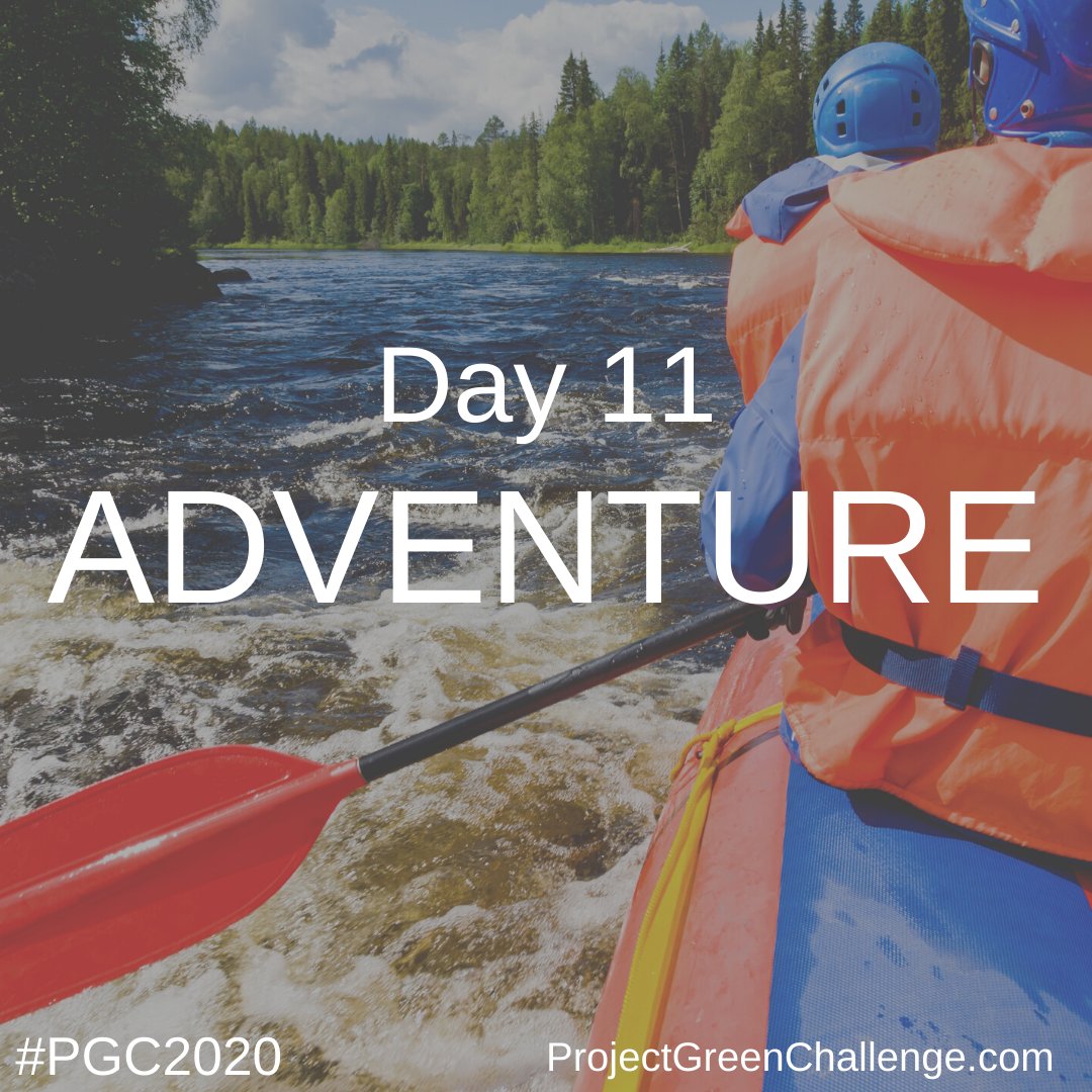 TurningGreenOrg's tweet image. Welcome to Day 11: Adventure of #ProjectGreenChallenge with @kleankanteen and @leavenotrace! Adventure looks different to everyone. For some, it’s summiting mountains. For others, it’s a walk in a new place. What does adventure mean to you? Let&apos;s dive in #PGC2020