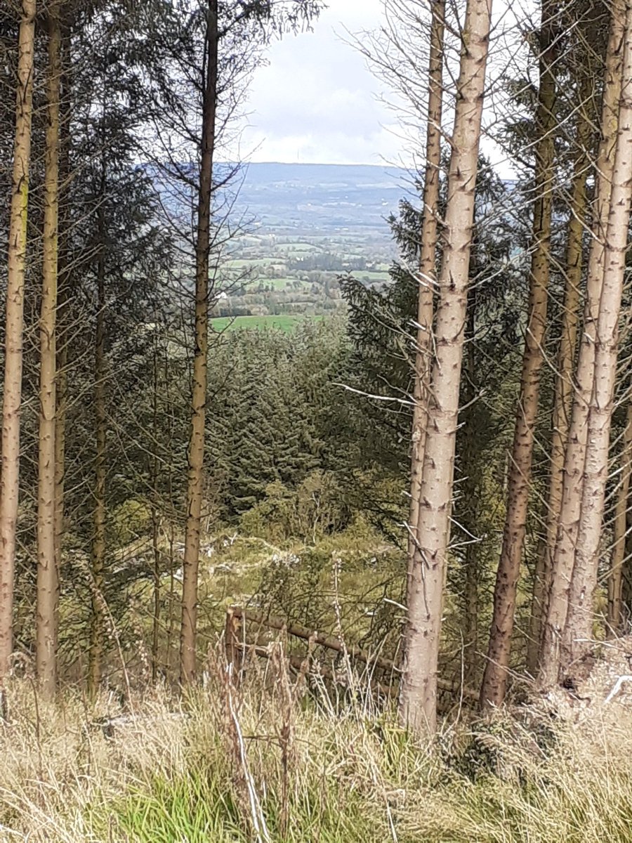 RayStewart23's tweet photo. Sunday morning walk admiring the hills of Tulla#belter https://t.co/BDnZMz61wQ