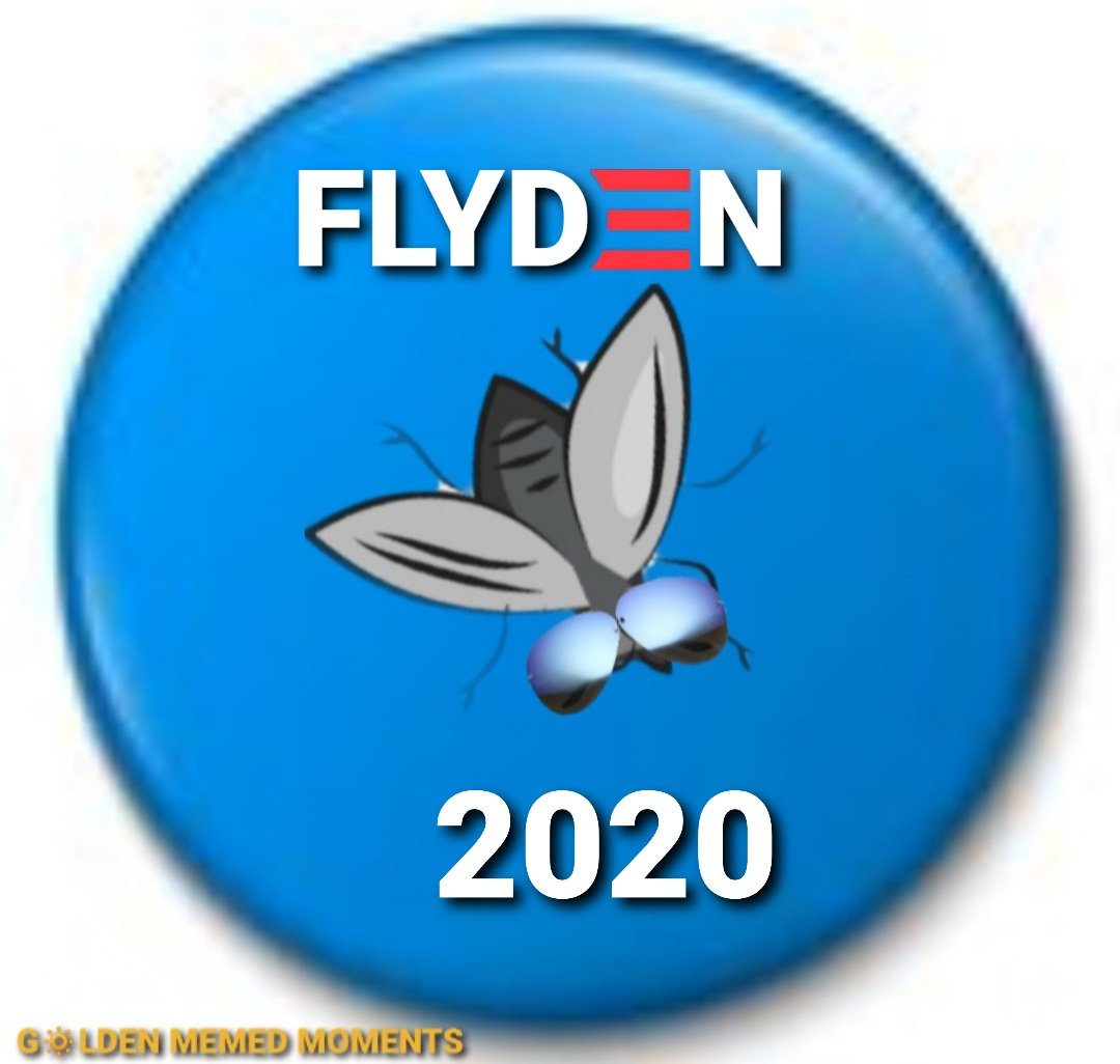 notthemomma3's tweet photo. @MichaelsFly Had to tweak these a bit after watching #SNL last night.
#SaturdayNightLive
#ThatFly
#Flyden2020
#Biden2020 https://t.co/aLWJeFdIYY