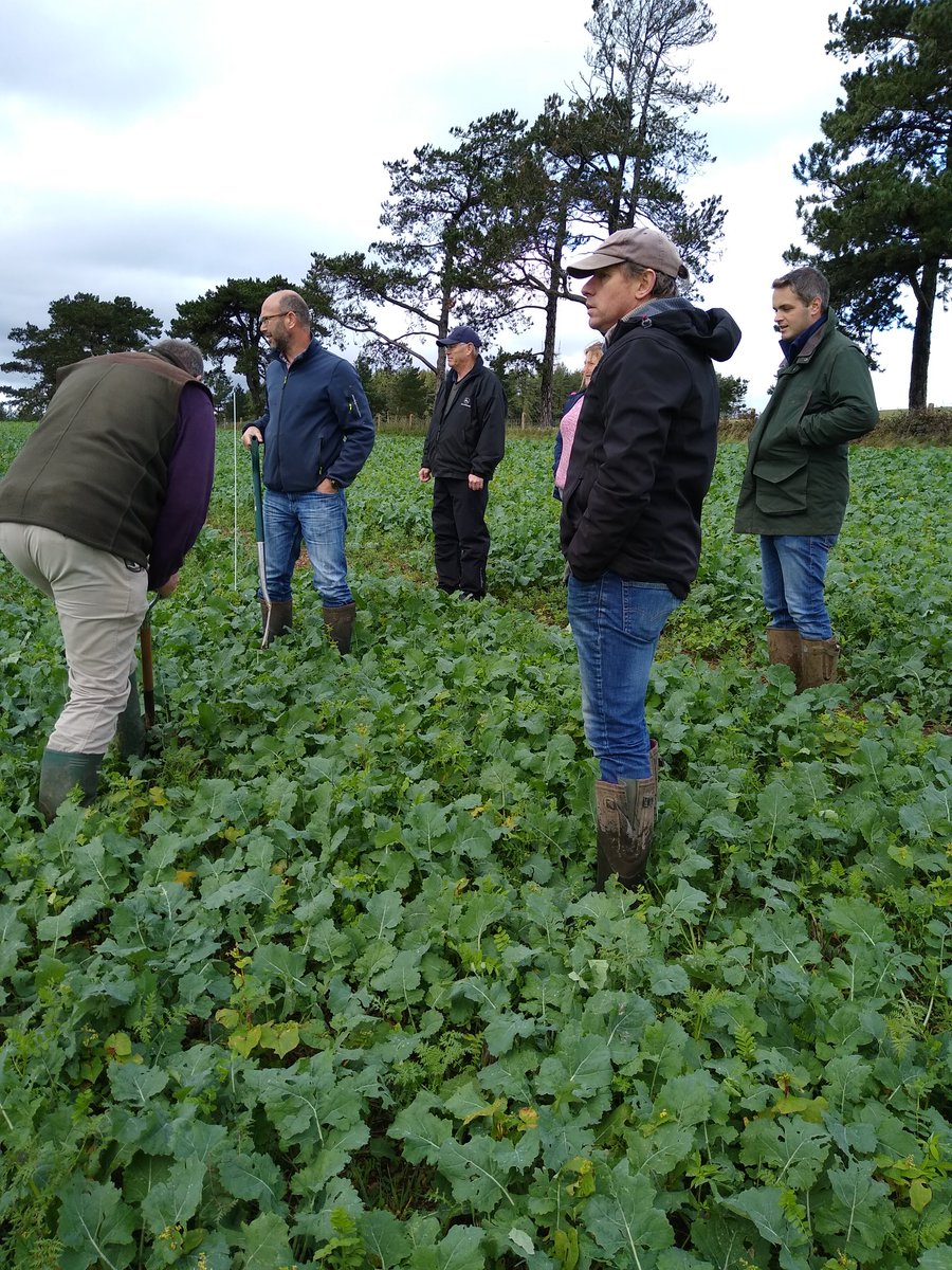 Beealert8's tweet image. Biological seed dressings, #composttea , as shown here by @aivafertiliser, is a bacterial and fungal application which aids soil health. Its a journey not a race, building  carbon, reducing reliance on artificial N, apply compost tea, £time. #naturalregen @FWAGSouthWest #CCARP