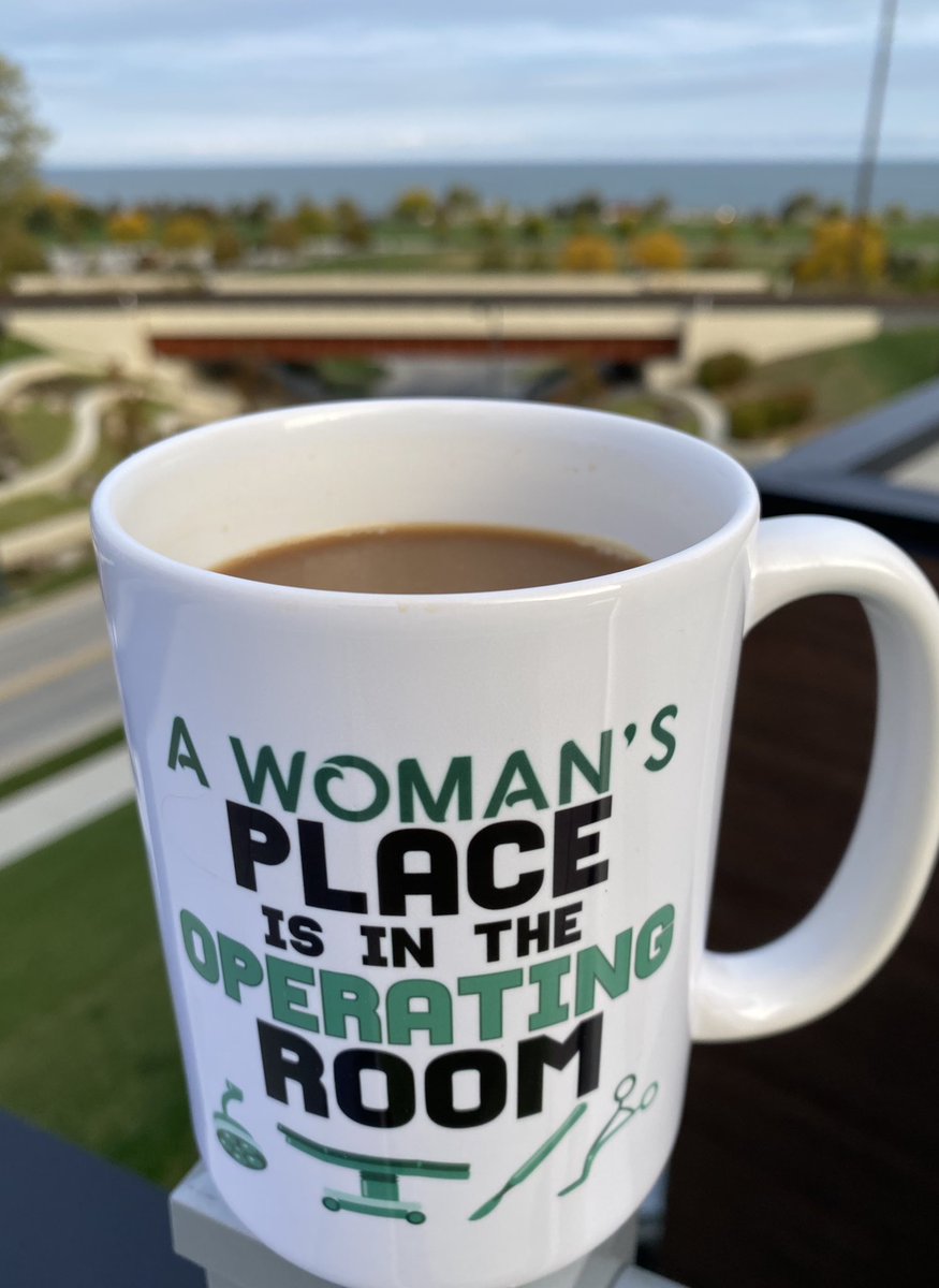 Good morning.