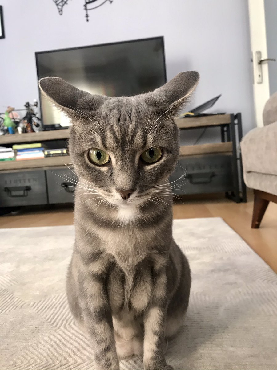 #DünyaKızÇocuklarıGünü