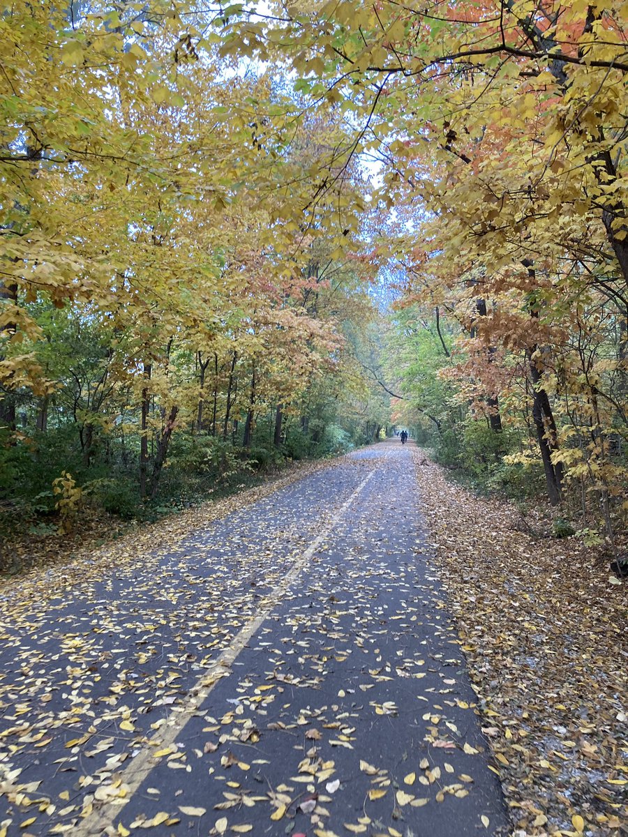 Michelle Curran tweet media