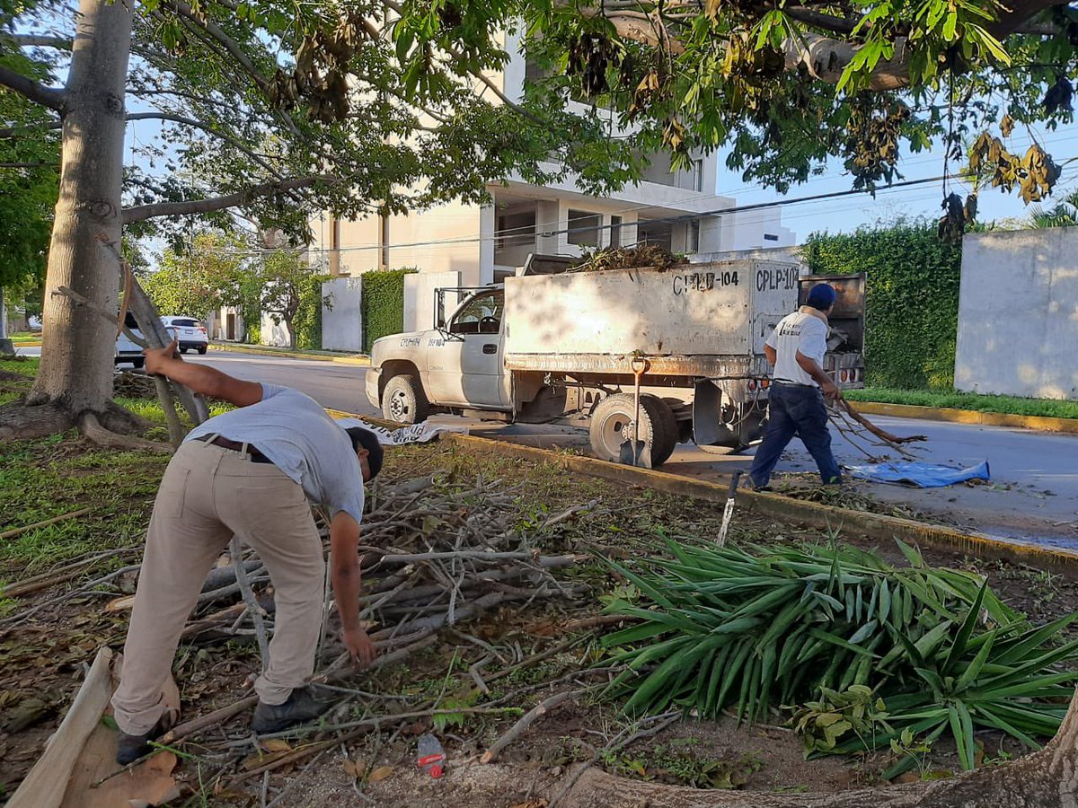 MaraLezama's tweet photo. ¡Continuamos trabajando para ti! Seguimos recorriendo todo #Cancún, hasta ver al gigante completamente de pie. 💪🏼 ¡No vamos a dejar a nadie atrás! 

#TodosPorCancún #TrabajamosParaTi https://t.co/znkB6phJT1