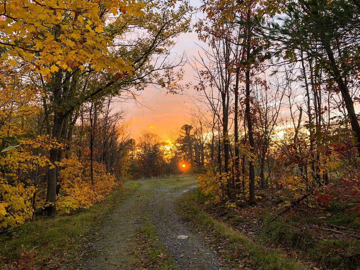 janica_e's tweet photo. Love beautiful fall evenings like this! 
..
.
..
.
..
.
#Muskoka #FallVibes #Fall #Autumn #Sunset #FallSunset #EveningWalk #LeavesAreFalling #NoFilterNeeded #FallColours #Ontario #ProvinceOntario https://t.co/BpDgrSNvxK