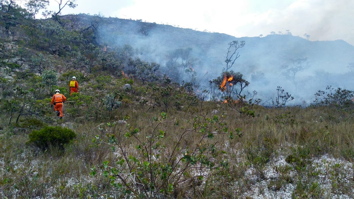 cbmba193's tweet photo. Durante o sábado uma equipe de 21 combatentes florestais atuaram em #RiodeContas. O clima favoreceu a região com pancadas de chuvas que contribuíram para uma diminuição significativa de pontos quentes. Durante o sobrevoo nesta manhã apenas um ponto de calor foi detectado. https://t.co/20FXzg9zZf