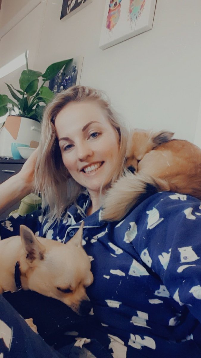 CaptChutney's tweet photo. Our tiny dogs have no concept of personal space, pretty sure Chewie thinks she is a shoulder fox. https://t.co/pqkWvLGmKH