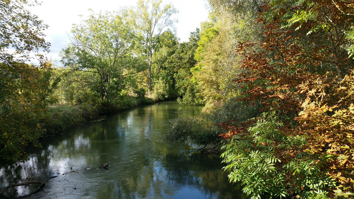 AWA1956's tweet photo. Elsterbrückenblick im Herbst 2020 #fotomomente #unterwegs #auenwald https://t.co/9NWQL3UiM7