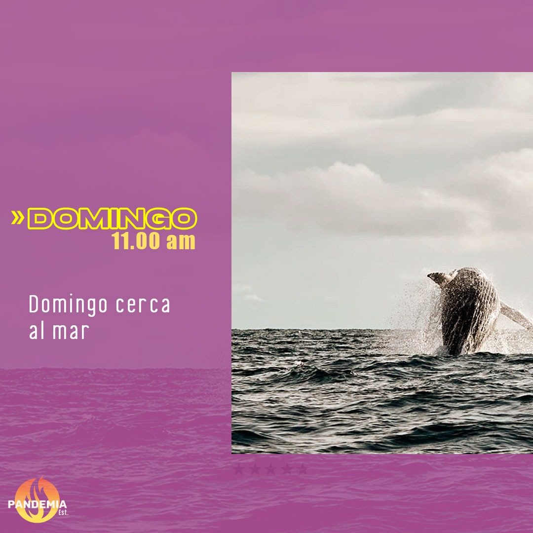 PandemiaEstereo's tweet photo. Nos fuimos a la playa y nos agarró una inundación.
Nuestros amigos de la comunidad Mecana en Bahía Solano se han visto afectados. Cerca de 350 familias necesitan nuestra ayuda.

Los esperamos a las 11 a.m. para escuchar canciones y hacer una vaquita entre todos. https://t.co/r2j9rEI1OW