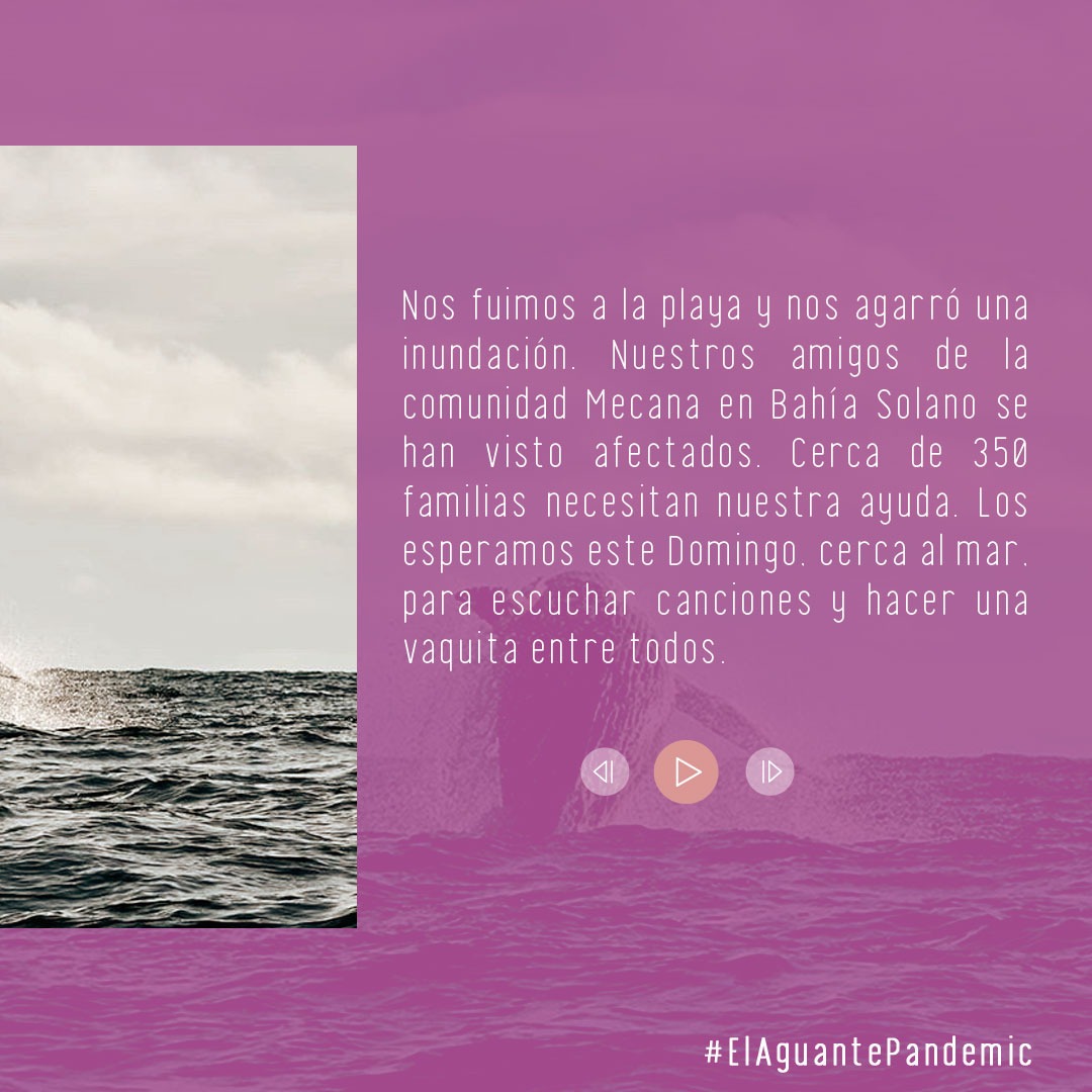PandemiaEstereo's tweet photo. Nos fuimos a la playa y nos agarró una inundación.
Nuestros amigos de la comunidad Mecana en Bahía Solano se han visto afectados. Cerca de 350 familias necesitan nuestra ayuda.

Los esperamos a las 11 a.m. para escuchar canciones y hacer una vaquita entre todos. https://t.co/r2j9rEI1OW