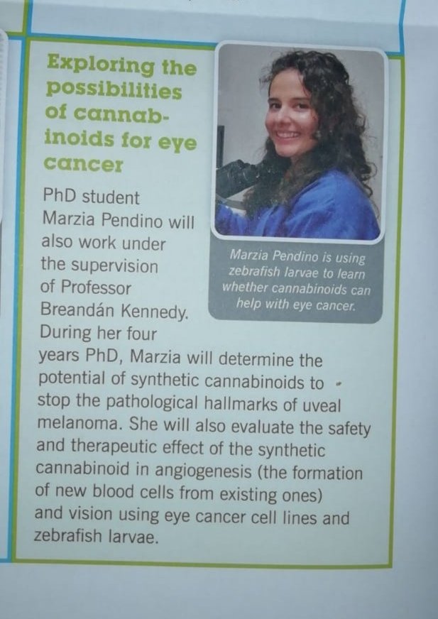 Marzia Pendino (@marziapendino) on Twitter photo When a friend send me pictures from a <a href="/BreakthroCancer/">Breakthrough Cancer Research</a> mail and he says that the researcher looks like me. 😊😁.Delighted to take part of this research group fighting Uveal Melanoma.<a href="/BreandanKennedy/">Breandán Kennedy UCD</a> @FrancesDrummo12 <a href="/orlabdolan/">Orla Dolan</a> When a friend send me pictures from a <a href="/BreakthroCancer/">Breakthrough Cancer Research</a> mail and he says that the researcher looks like me. 😊😁.Delighted to take part of this research group fighting Uveal Melanoma.<a href="/BreandanKennedy/">Breandán Kennedy UCD</a> @FrancesDrummo12 <a href="/orlabdolan/">Orla Dolan</a>