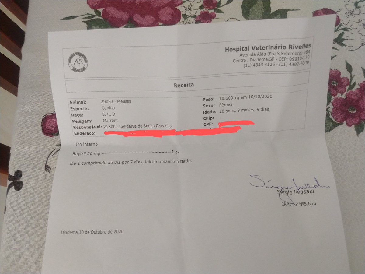 AXthotev's tweet image. *VENDA DE LIVROS E OUTRAS COISAS*
Sei q tenho poucos seguidores, mas a esperança é a última que morre. Essa é Melissa, ontem descobrimos q ela tá com câncer no útero e inflamação no útero e no rim, dps de dias q ela tava agindo meio estranho. Ela tá medicada, mas precisa de +++