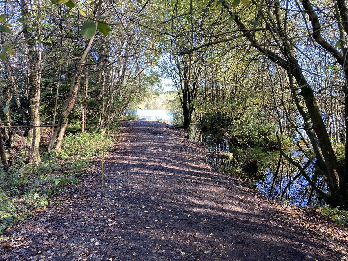 Stunning Autumn Day 🍂 🌲 <a href="/visitdelamere/">Delamere Forest Photos🌲</a>