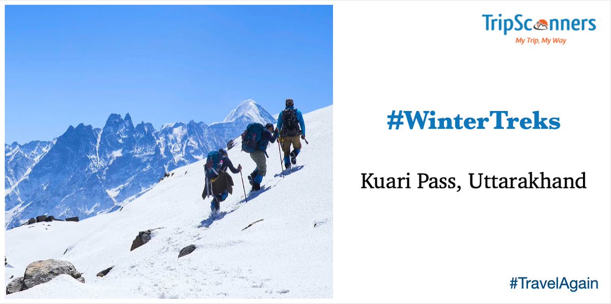tripscannersIN's tweet photo. #TravelAgain with #TripScanners 
If you are planning to do #WinterTrek in the month of Nov-Dec, you must head to Kuari Pass, situated in Nanda Devi National Park in #Uttarakhand
Read More: https://t.co/OAaCghGEyV
#TravelwithTripScanners #travel #blogger #quote #quotes #Worlds2020 https://t.co/6lKG30zpbE
