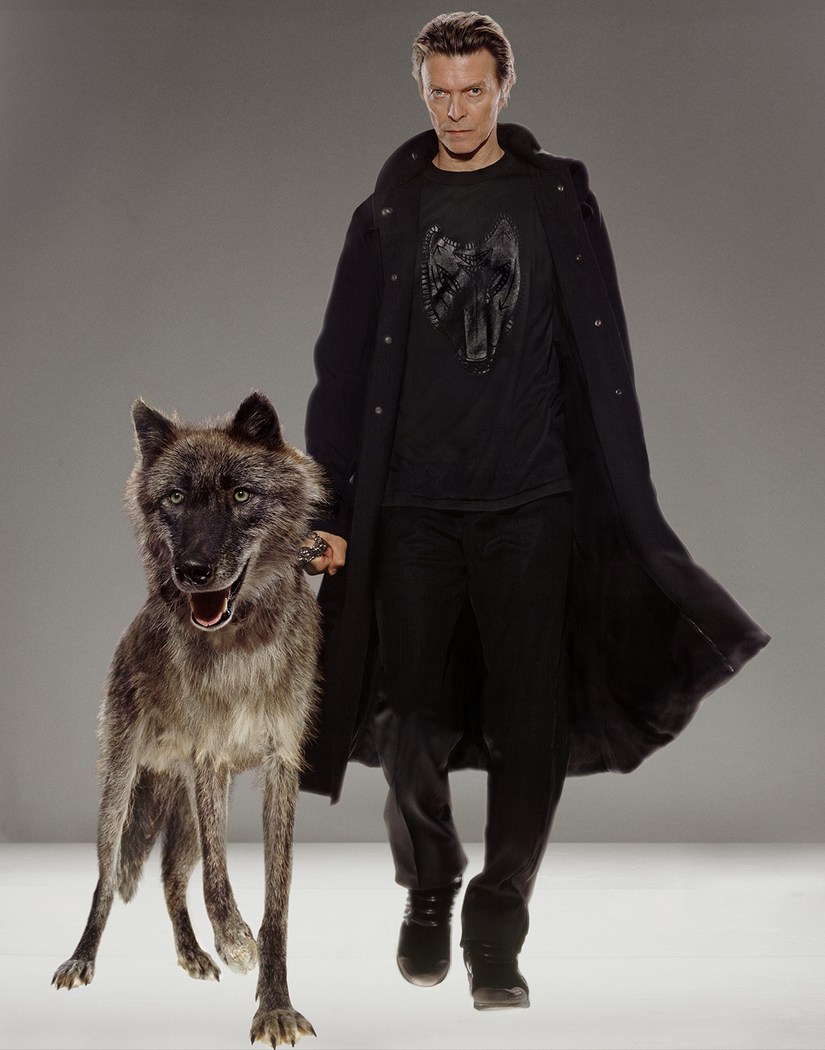 David Bowie 
by Markus Klinko (2002)

    #BowieForever