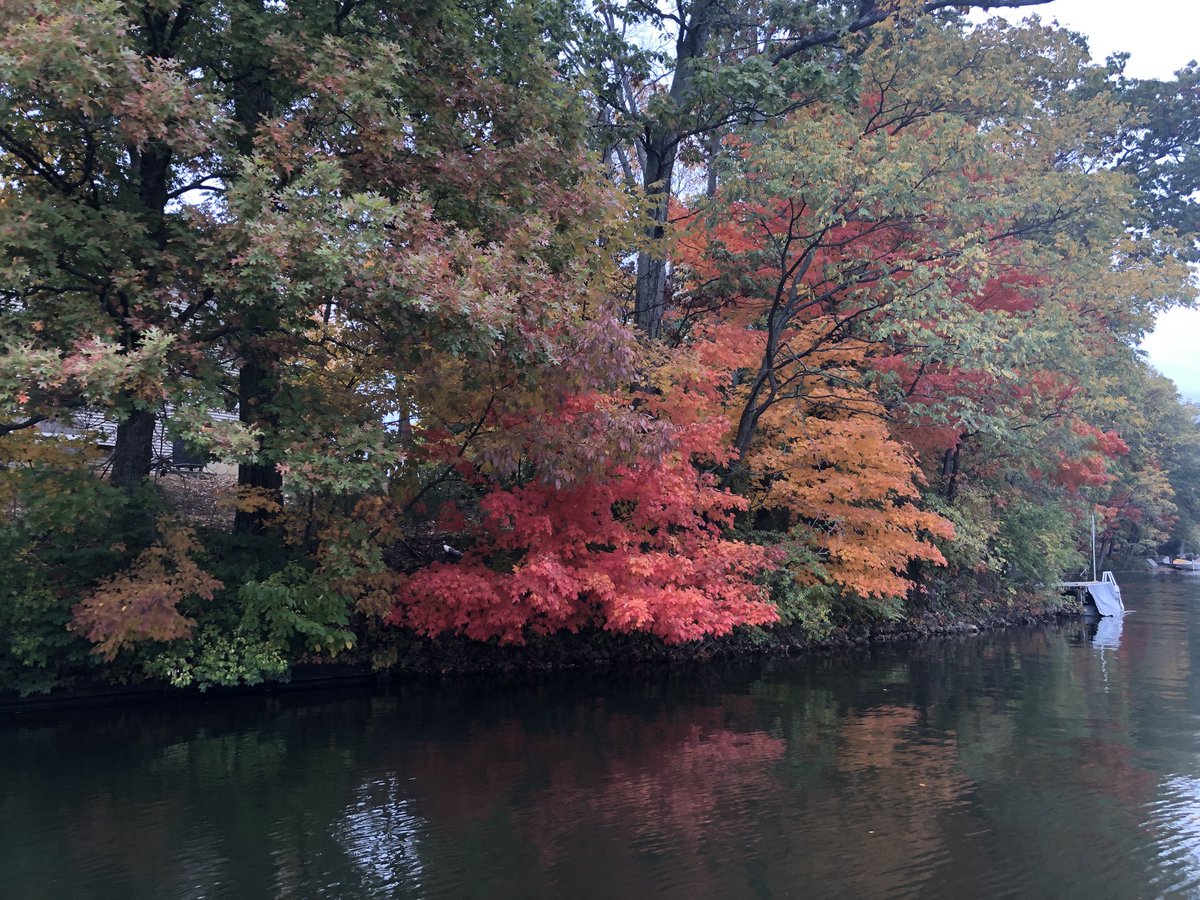 Tom Custer tweet media