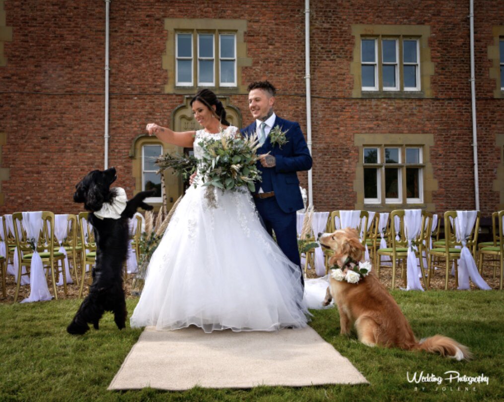 How cute is this?! 🥰🐶🥰🐶 <a href="/eriviathall/">Eriviat Hall North Wales Wedding Venue</a>  facebook.com/13928187476925…