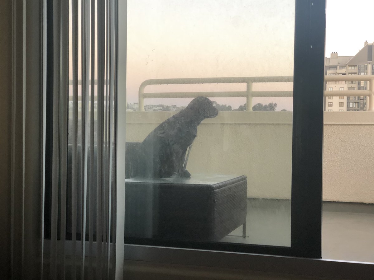 PuppyMagnolia tweet media